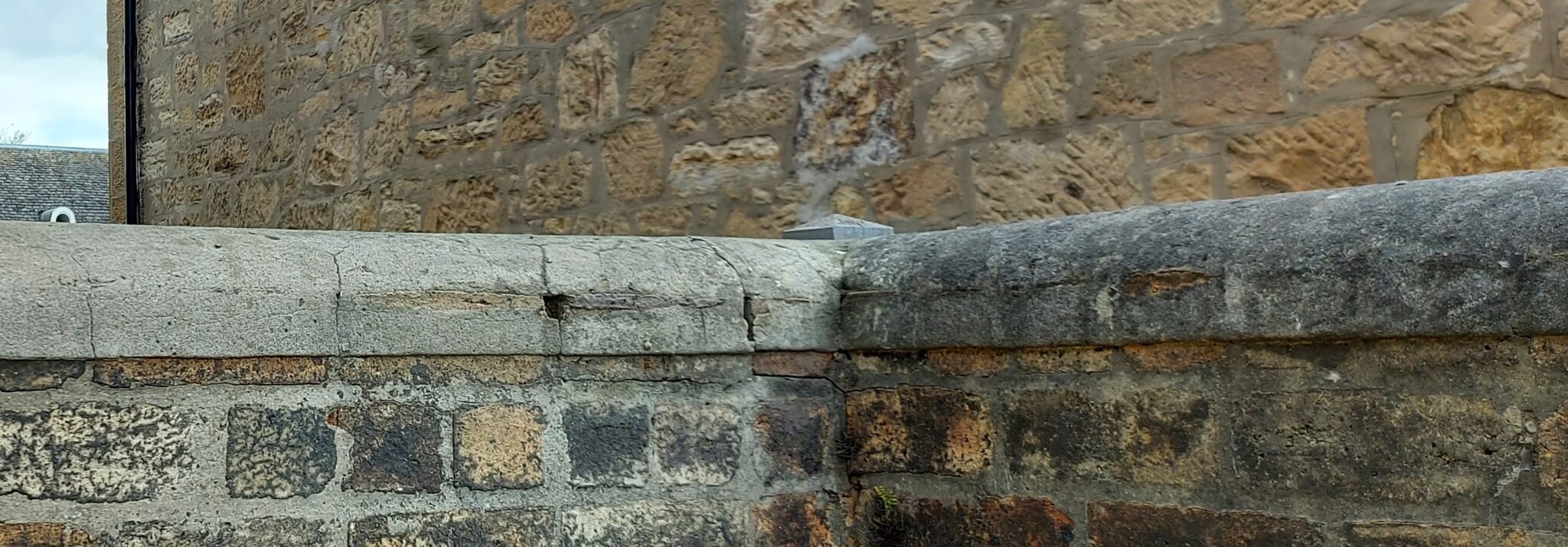 Best Concrete Cleaner Biocide Free Long Lasting + Safe