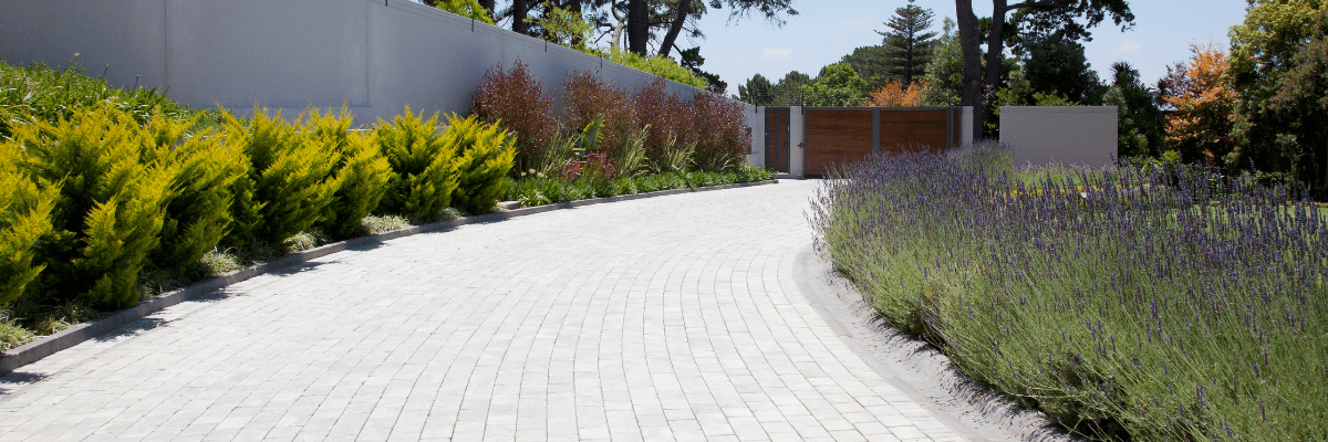 Eco Friendly Driveway Cleaner