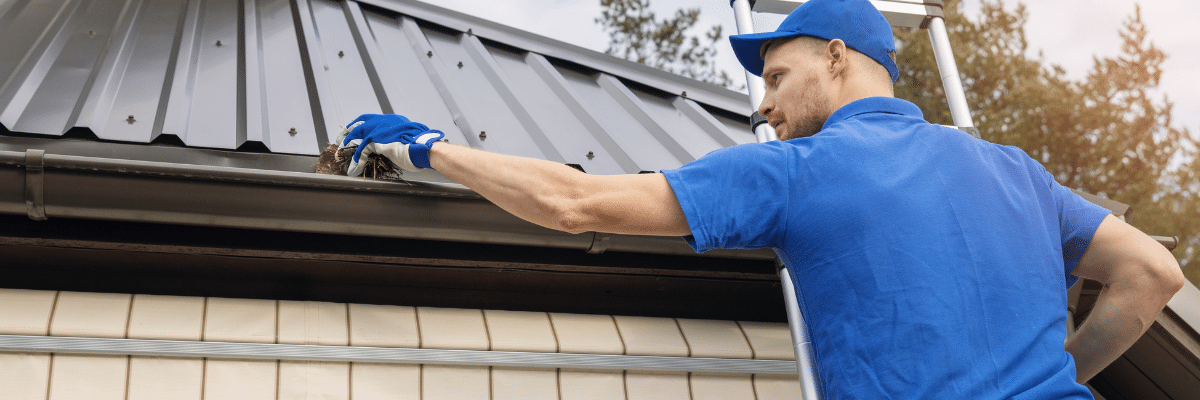 gutter and fascia cleaner 