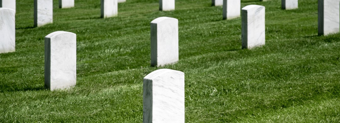 Marble Headstone Cleaner