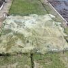 Marine Algae Remover